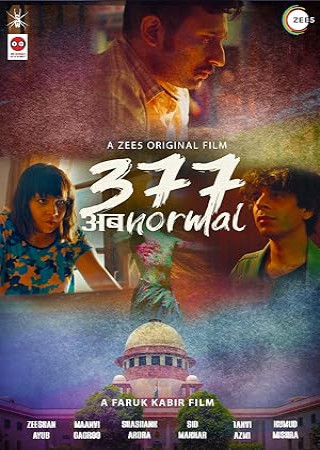 377 AbNormal (2019) Hindi