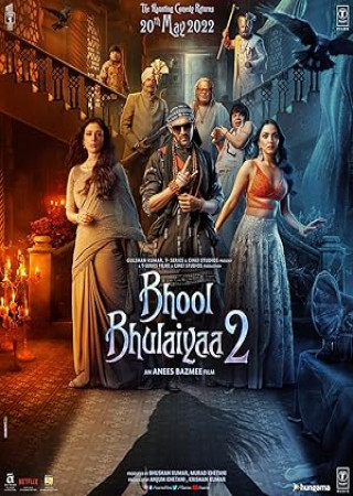 Bhool Bhulaiyaa 2 (2022) Hindi