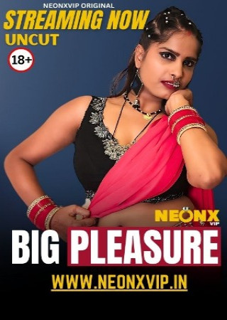 Big Pleasure (2025) Hindi NeonX Short Films