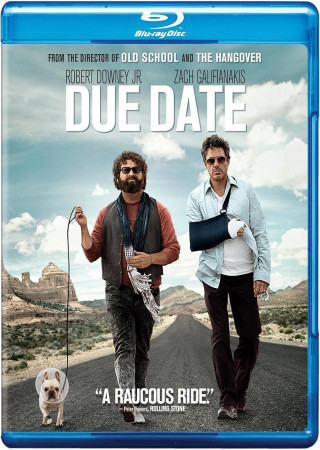 Due Date (2010) Hindi Dubbed