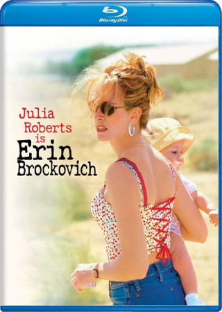 Erin Brockovich (2000) Hindi Dubbed