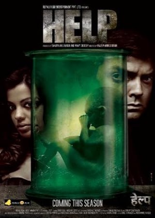 Help (2010) Hindi