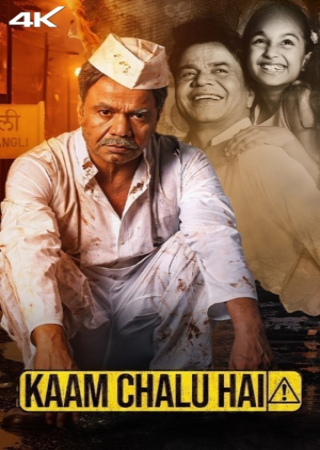 Kaam Chalu Hai (2024) Hindi