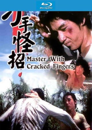 Master with Cracked Fingers (1979) Hindi Dubbed