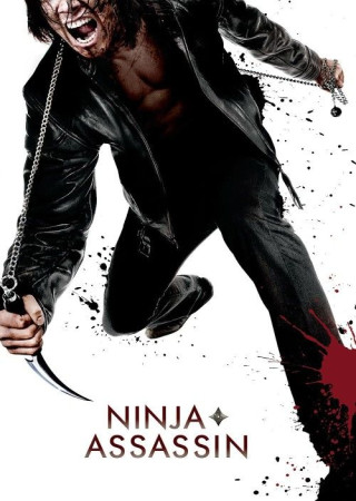 Ninja Assassin (2009) Hindi Dubbed