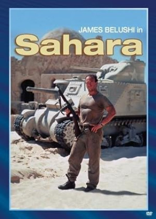 Sahara (1995) Hindi Dubbed