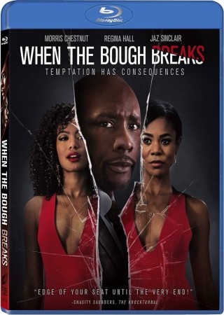 When the Bough Breaks (2016)